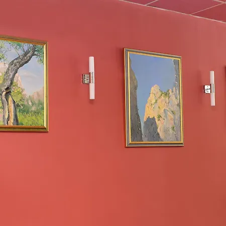 Family Art-hotel Zora Vrața